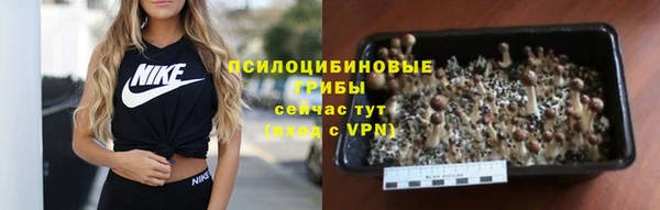 СК Покров