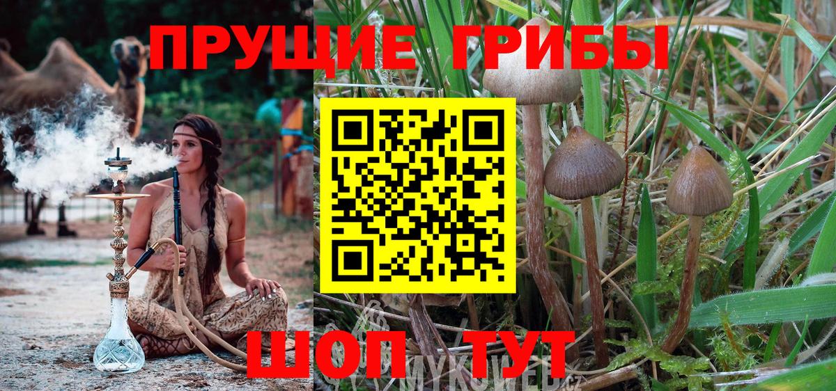 Галлюциногенные грибы ЛСД  Вход с VPN  Краснодар 
